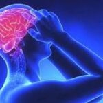 जपानी मेंदूज्वराविरोधात महाराष्ट्र सतर्क