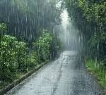 हिंगोली, मुंबई, सोलापूर, येवल्यात वादळी वाऱ्यासह मान्सूनपूर्व पावसाची दमदार हजेरी