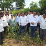 आ. गायकवाड यांनी केली बांधावर जावून पाहणी